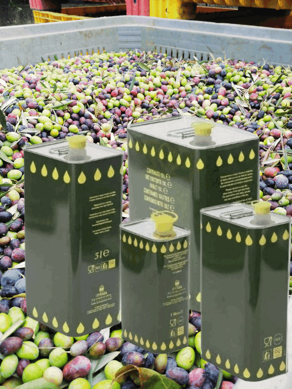 vita-olio Kalabrien