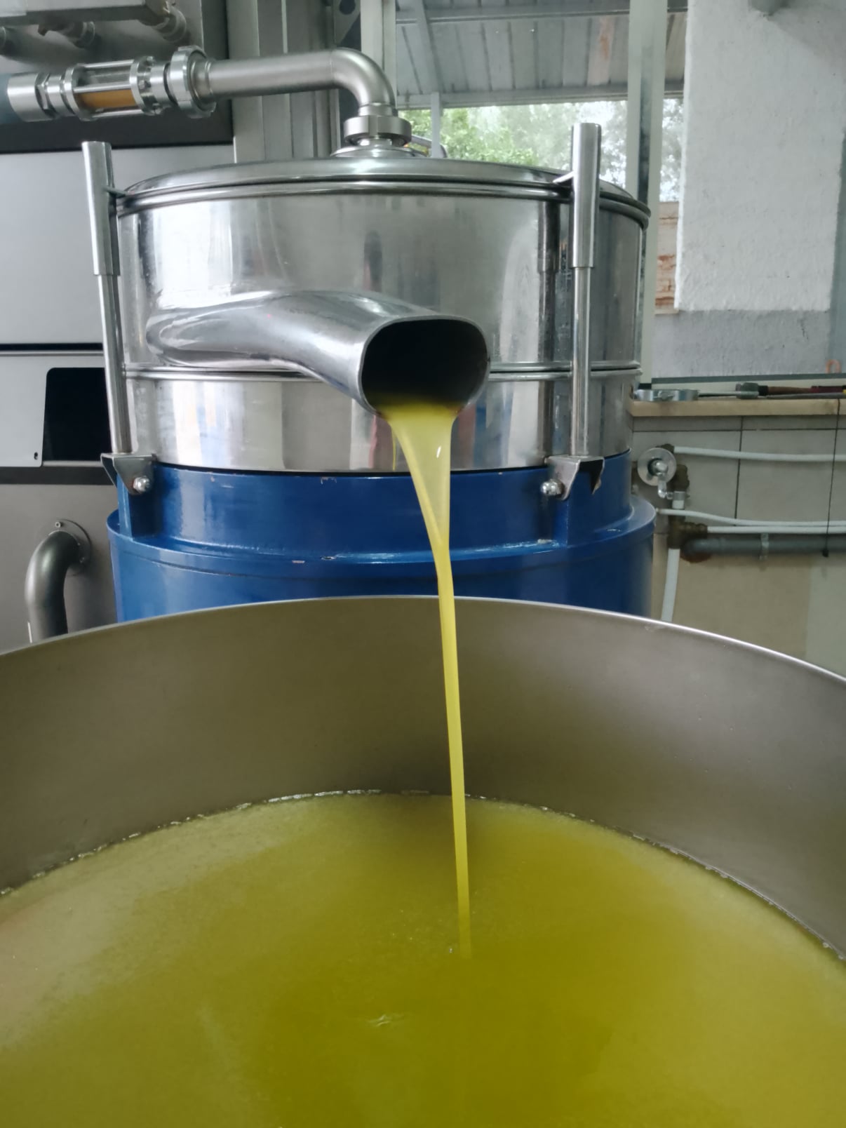vita-olio Kalabrien