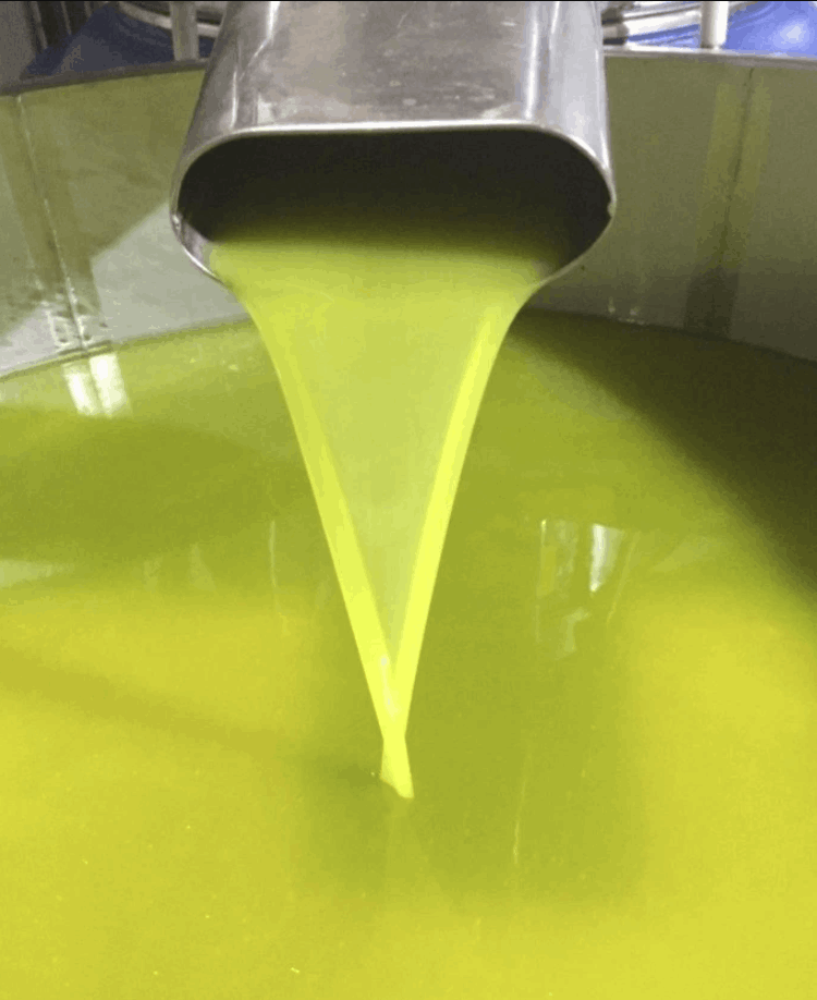 vita-olio Kalabrien